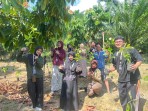 Mahasiswa KKN UIN Suska Bagikan Seribu Bibit Alpukat dan Durian di Kemuning Tua, Warga Diajak Merawat Hingga Berbuah