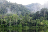 Menikmati Keindahan Alam di Taman Nasional Kerinci Seblat