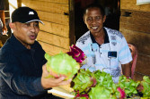 Kisah Pakde Sukir, Petani Inovatif Sukses Kembangkan Kebun Buah Naga di Desa Harapan Baru