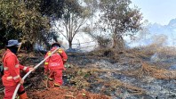 Korporasi Terduga Biang Karhutla Riau Dilaporkan ke Bareskrim