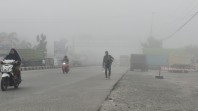 Pemko Pekanbaru Kembali Terapkan PJJ 14–15 Oktober, Udara Masuk Kategori Tidak Sehat
