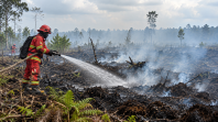 Mengapa Kebakaran Lahan Gambut Sulit Dipadamkan? Ini Penyebab dan Cara Mencegahnya