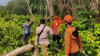Tim SAR Gabungan Sisir Kebun Cari Lansia 80 Tahun yang Hilang di Meranti