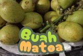 Kenalan dengan Buah Matoa