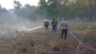 Api Membesar di Depan Mal SKA Pekanbaru, Tiga Armada Dikerahkan Padamkan Kebakaran Lahan