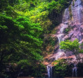 Camp Granit: Tempat Healing dan Berkemah di Taman Nasional Bukit Tigapuluh