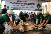 400 Juru Sembelih Ikuti Pelatihan Kurban di Masjid Raya Senapelan Pekanbaru Jelang Idul Adha 1447 H