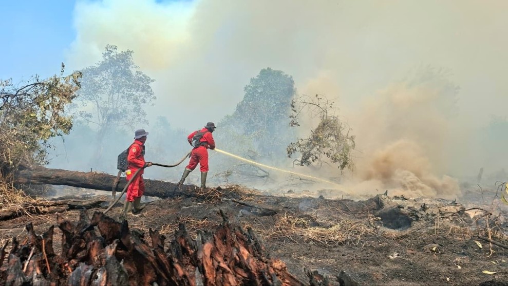 Karhutla di Kerumutan Sulit Dipadamkan, Bara Api Menyala Didalam Gambut