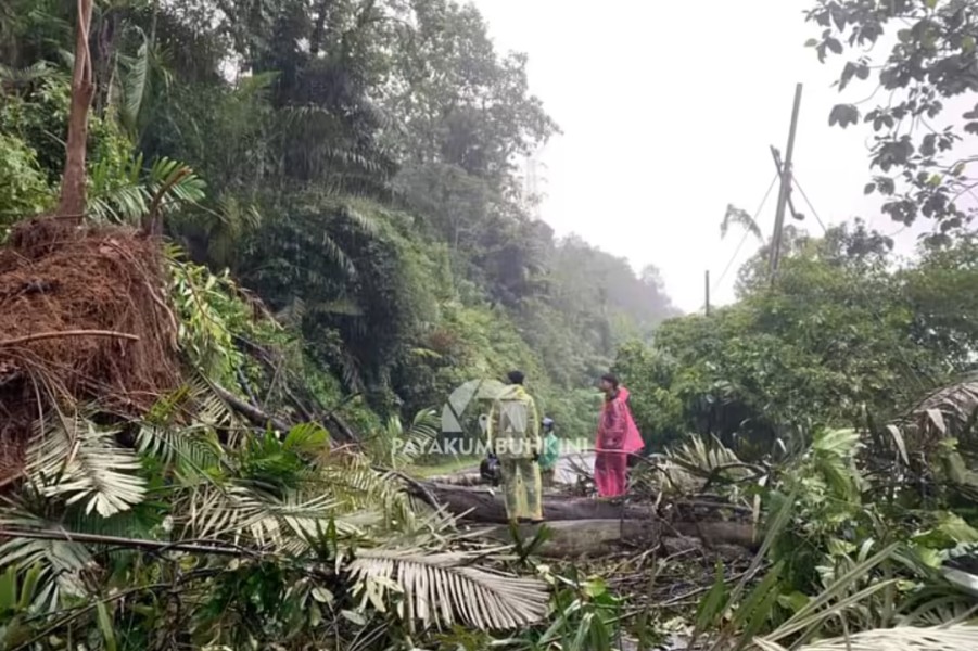 Breaking News: Jalan Sumbar–Riau di Koto Alam Longsor, Lalu Lintas Lumpuh Total