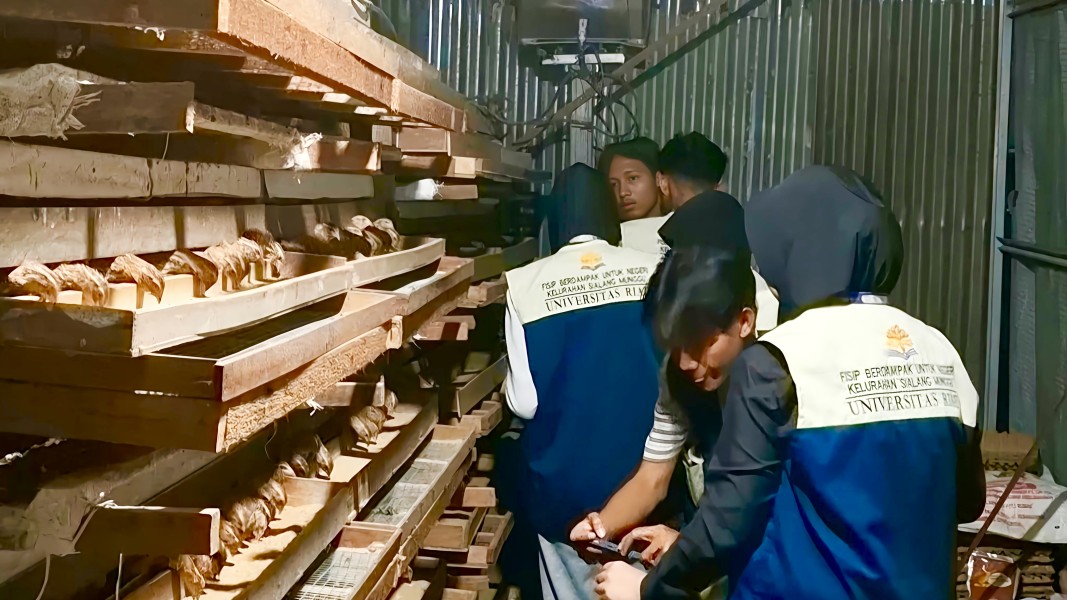 Belajar dari Kandang Puyuh, Mahasiswa FISIP Unri Gali Strategi Ketahanan Pangan hingga Bisnis Rumahan