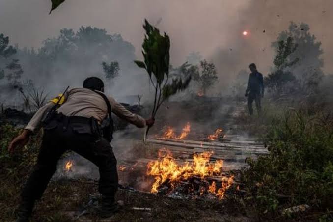 Riau Siaga Darurat Kebakaran Lahan