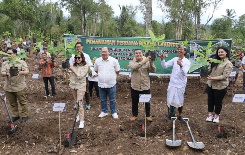 Wamen ATR/Waka BPN Tanam Pisang di Jembrana, Wujud Penataan Akses Tanah Ulayat Pertama di Indonesia