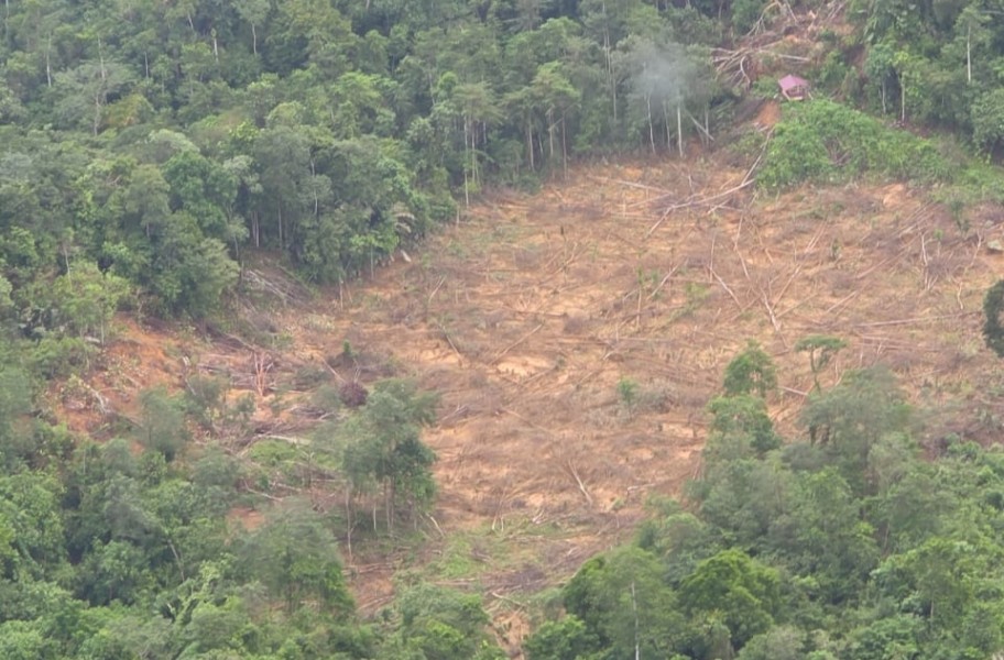 Tinjau Dampak Bencana Aceh Timur, Menteri LH: Tak Ada Toleransi Bagi Perusak Lingkungan