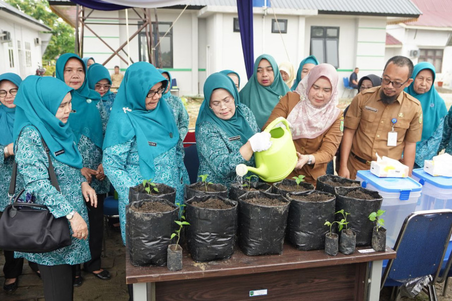 Tekan Inflasi, Ketua PKK Riau Adrias Hariyanto Tanam 1000 Bibit Cabai