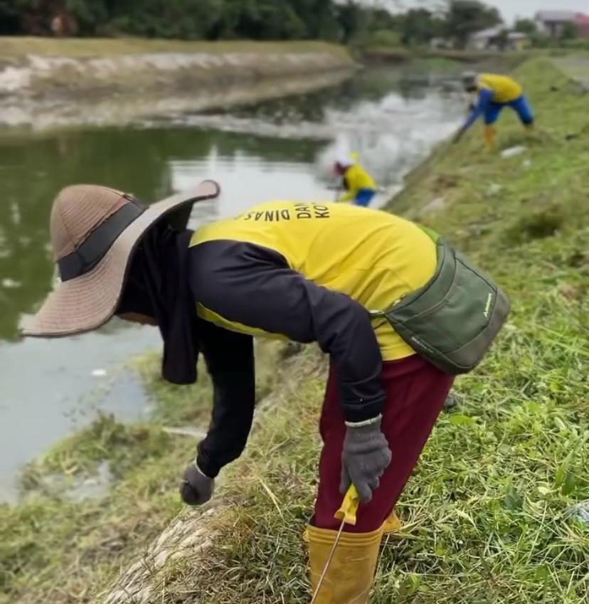 Pasukan Kuning Dinas PUPR Kota Pekanbaru Bersihkan Rumput Liar di Sekitar Waduk Cipta Karya untuk Antisipasi Banjir