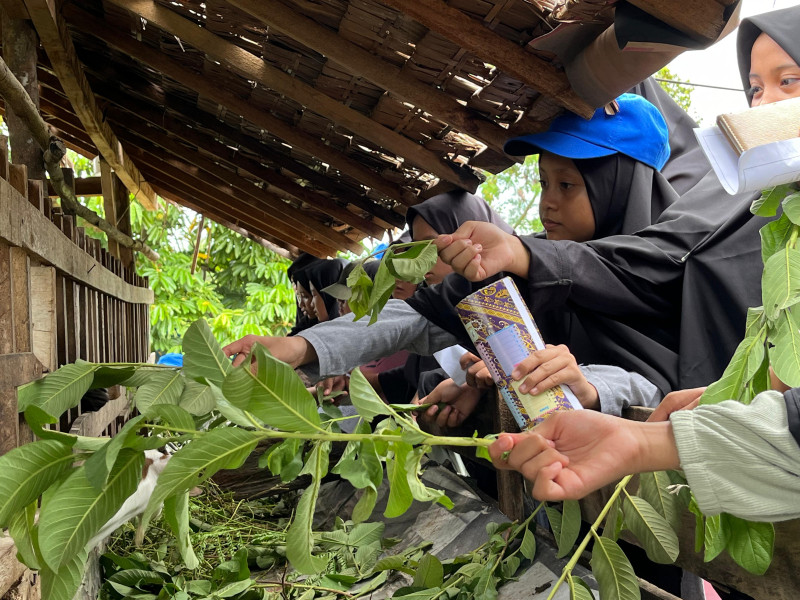 Liburan Seru dan Edukatif di Agro Wisata Pelangi Pekanbaru: Wahana Menarik untuk Semua Usia