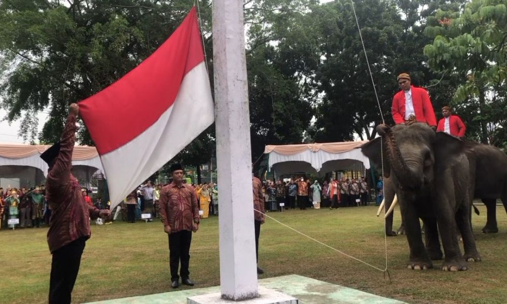 Momen Pengibaran Bendera di BKSDA Riau Libatkan Tiga Gajah