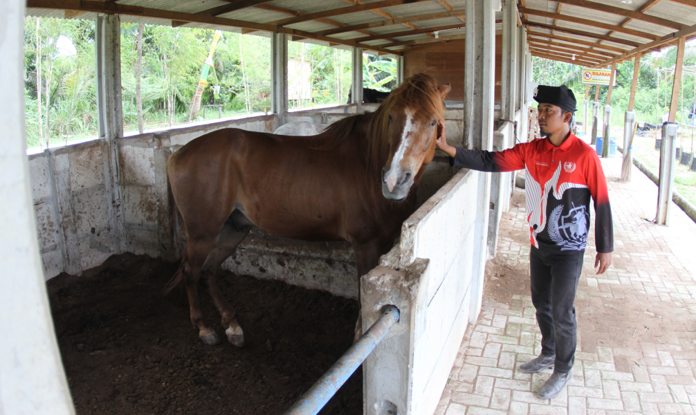 Serunya Tunggangi Kuda di Agrowisata DuRanch Rumbai