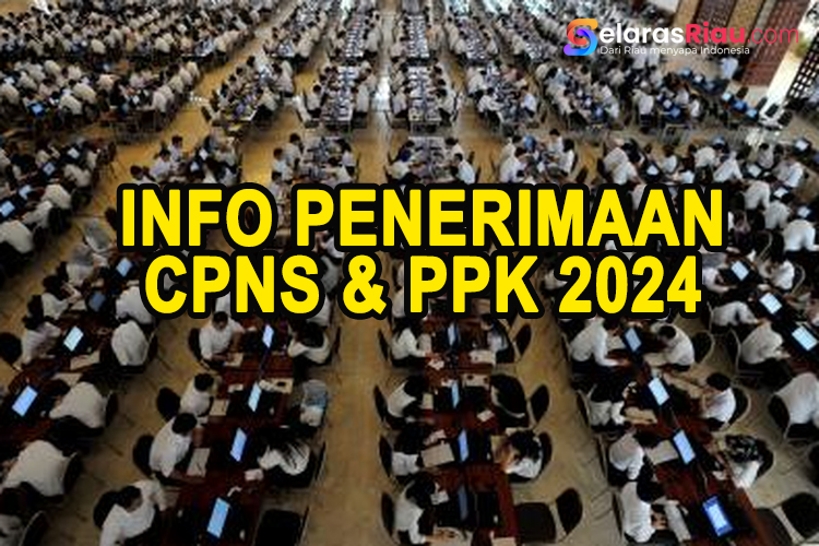 INFO TERBARU PENERIMAAN CPNS DAN PPPK, Ini Jadwal dan Formasi Lowongan yang Dibuka, Total Lowongan yang Dibuka Sampai 200 Ribu Formasi CPNS