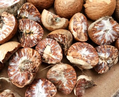 Minggu Ini Harga Pinang Kering di Riau Jadi Rp5.800 per Kg