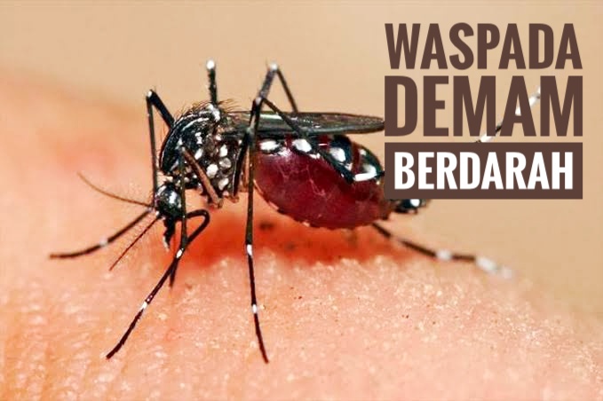 Gawat, 17 Warga Riau Meninggal Dunia Akibat Terserah Penyakit DBD