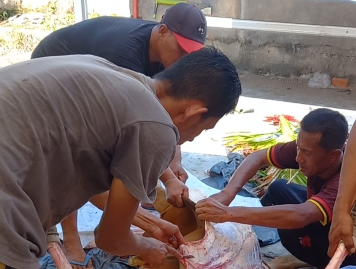 PTPN V Bagikan 20 Ribu Paket Daging Kurban