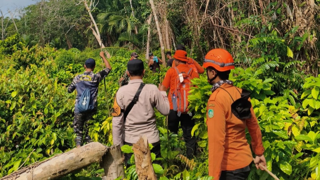 Tim SAR Gabungan Sisir Kebun Cari Lansia 80 Tahun yang Hilang di Meranti