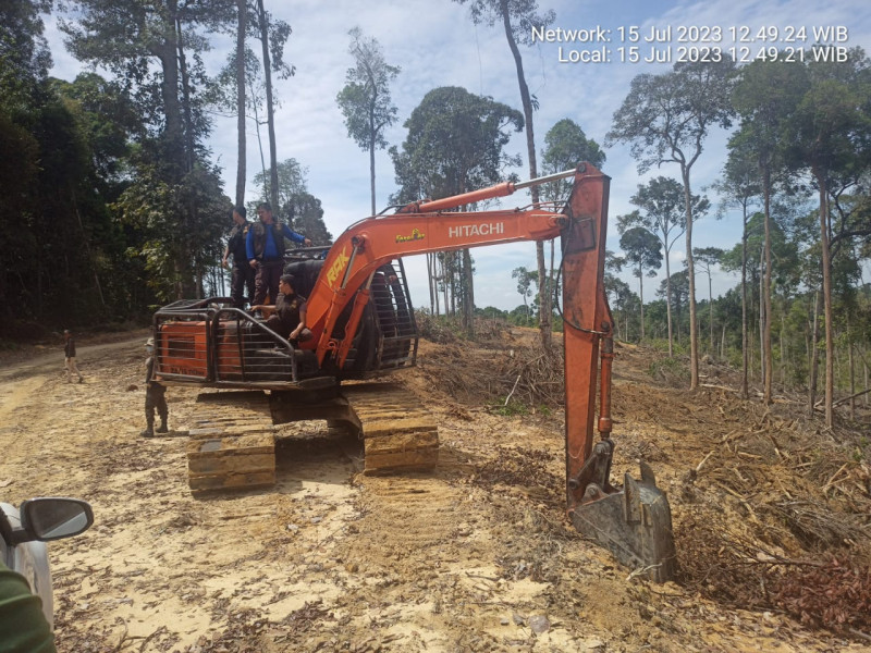 Tiga Operator Alat Berat Perambah Kawasan Hutan di Gunung Sahilan Ditangkap, Siapa Dalangnya ?