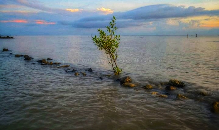 Rekomendasi Wisata Alam di Riau : Menikmati Keindahan Pasir Putih Pantai Selat Baru yang Mempesona