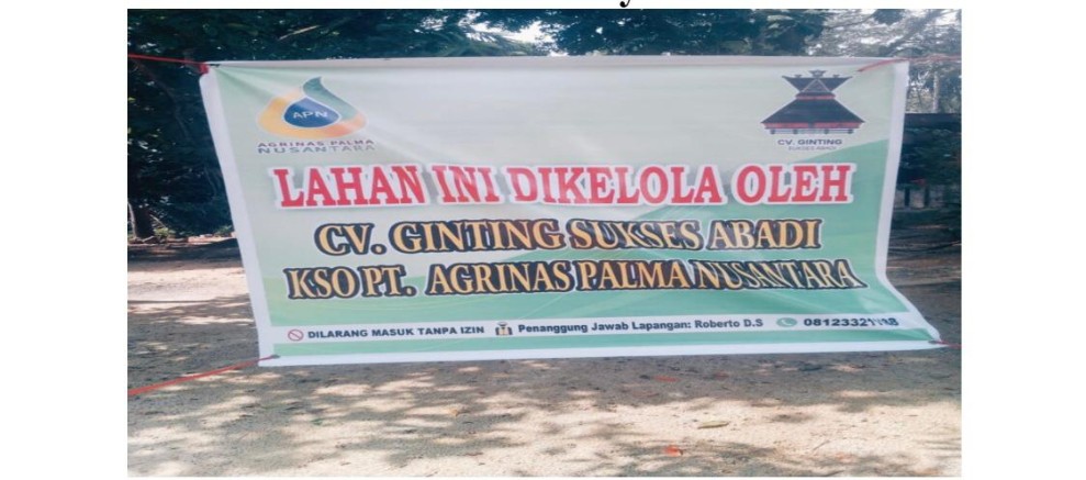Warga Kota Lama Rokan Hulu Resah, Sekelompok Orang Diduga Panen Paksa Sawit Milik Masyarakat