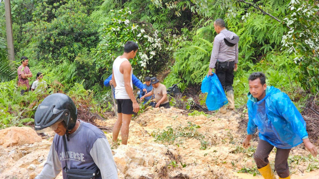 Hujan Deras, Jalan Lintas Rokan Hulu Menuju Pasaman Terputus Akibat Longsor