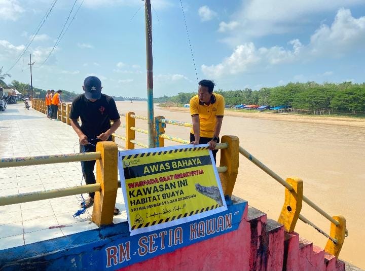 Awas! Buaya Mengintai di Arena Pacu Jalur Kuansing, Polisi Langsung Pasang Peringatan